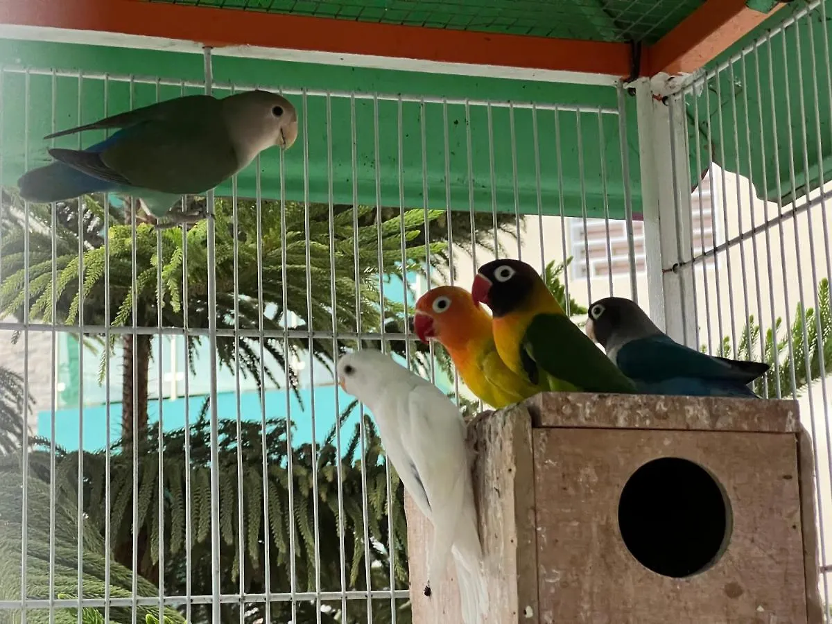 جاراباكو B-5 Aprt. Tipo Villa Sonidos De Las Aves. 0*,  جمهورية الدومينيكان
